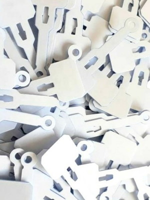 300 unidades kit de etiquetas para anel tag branco