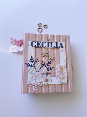 Scrapbook álbum mesvesário baby
