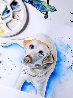 Retrato do seu pet em aquarela