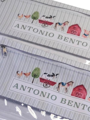 Envelopes organizadores com visor plástico g fazenda