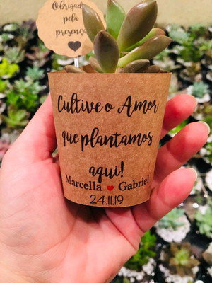 Lembrancinha cultive o amor que plantamos aqui - suculentas