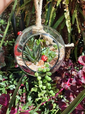 Mini jardim bola suspenso
