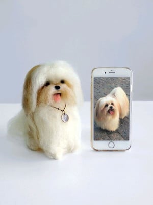 Lhasa apso - miniatura de cachorro