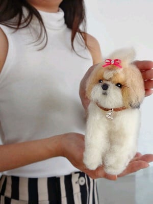 Shih tzu - miniatura de cachorro
