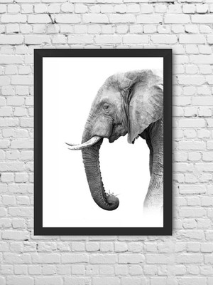 Poster elefante preto e branco com moldura