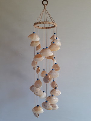 Sino dos ventos conchas naturais infinito bege 505.