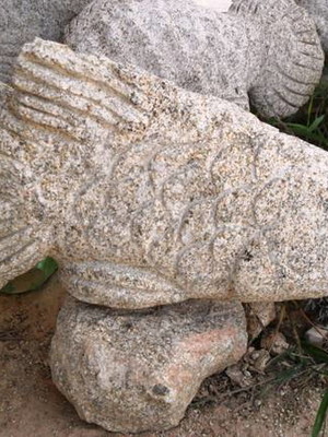 Peixe 04