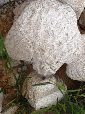 Peixe 03