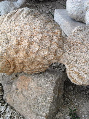 Peixe 01