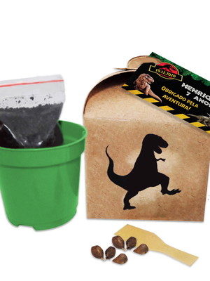Kit kraft com semente de flores e temperos