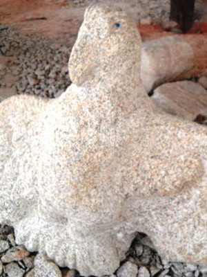 Passaro 03