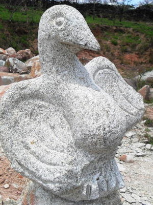 Passaro 02
