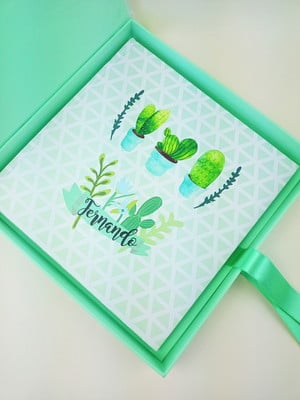 Livro do bebê e caixa cactos
