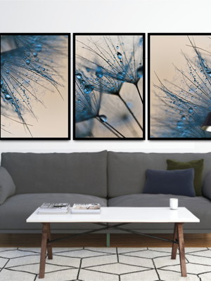 Quadros decorativos dente de leão com vidro
