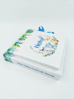 Livro do bebê e caixa safári