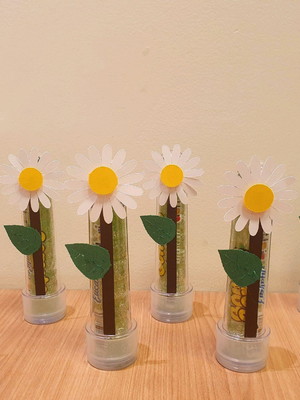 Tubetes margaridas