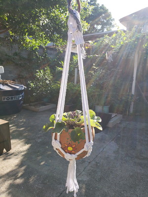 Suporte para plantas