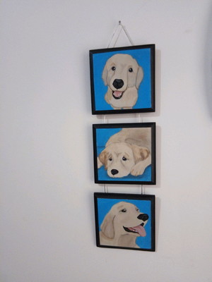 Trio de quadros golden