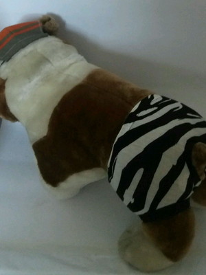 Cueca pet