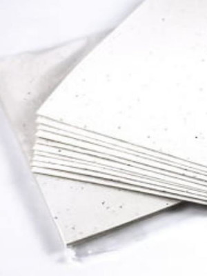 Folhas em papel semente a4