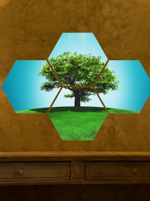 Quadro hexagonal decorativo arvore da vida
