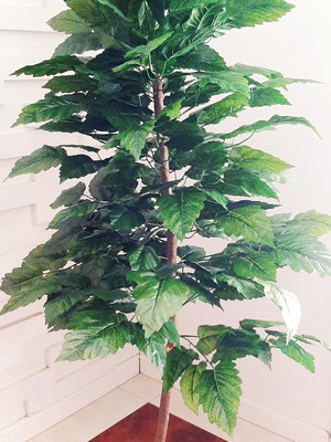 Planta artificial alocasia 1,30 metros de altura