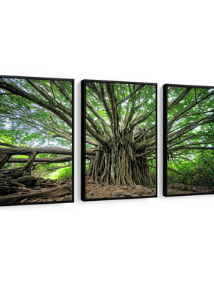 Quadro decorativo paisagem árvore verde novo com moldura lar