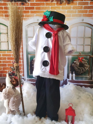 Fantasia boneco de neve
