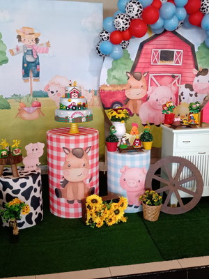 Decoração fazendinha