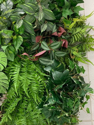 Quadro verde artificial 80x40
