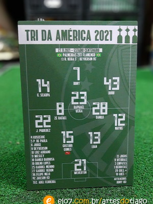 Quadro pôster - campinho - verdão liberta 2021