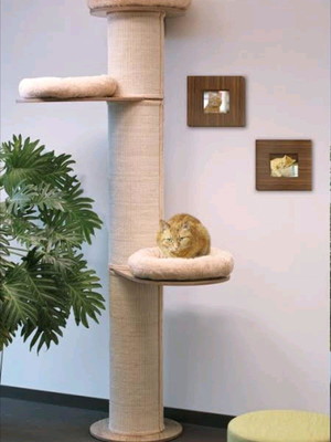 Arranhador para gato