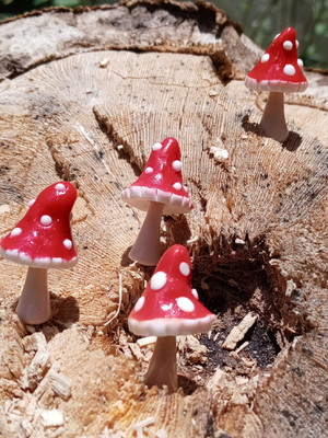 Miniatura cogumelo