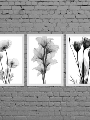 Kit 3 quadros flores minimalistas com moldura