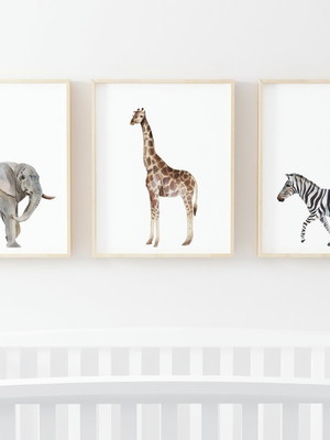 Kit 3 quadros decoração infantil safari selvagem