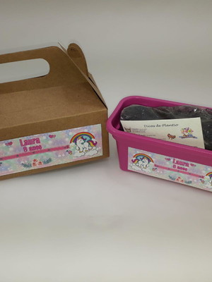 Kit jardim de flores mini jardineira rosa trevo 4 folhas