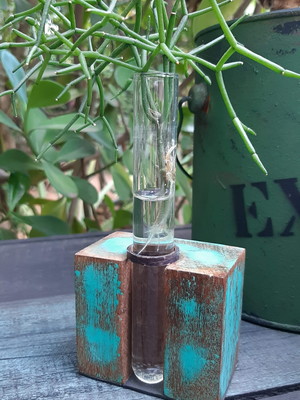 Vaso solitário em madeira maciça