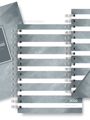 Mini planner agendamento rosa 2022 - anual