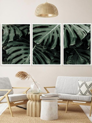 Quadros decorativos trio costela de adão plantas