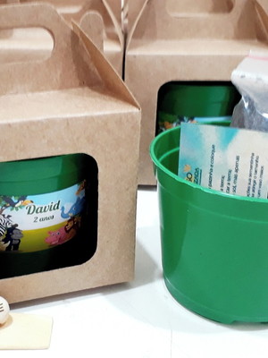 Al001 - kit para plantar kraft visor com semente gravada