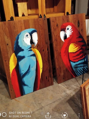 Par de araras pintadas em madeira
