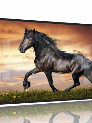 Quadro decorativo cavalo artístico paisagem 130x60 moldura p