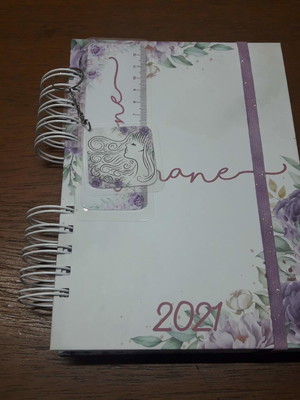 Agenda para agendamento de cliente personalizada - 365 dias