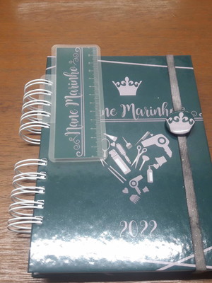 Agenda para agendamento de cliente personalizada - 365 dias