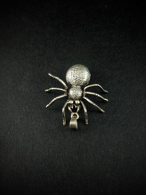 Pingente aranha em prata 925.