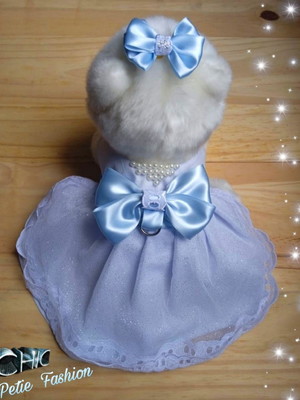 Vestido de festa pet + lacinho, vestido petie cães e gatos