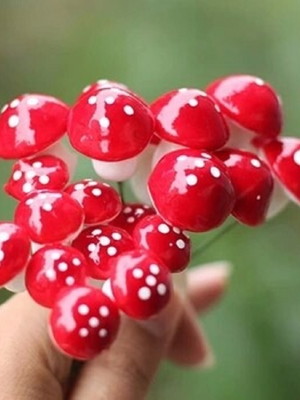 Cogumelo terrários jardim miniatura decoração g
