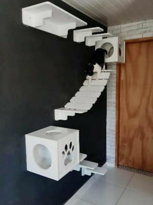 Circuito playground para gatos