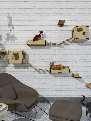 Nicho gato kit playground 10 peças premium