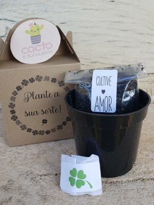1 lembrancinha ecológica: kit trevo de 4 folhas e da sorte